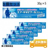 【第2類医薬品】エプールVZクール　５個セット