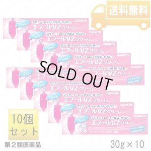 画像1: 【第2類医薬品】エプールVZ　10個セット　使用期限：2027年6月