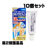 【第2類医薬品】ロキエプールG2　10個セット　使用期限：2026年5月