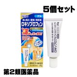 【第2類医薬品】ロキエプールG2　5個セット　使用期限：2026年5月