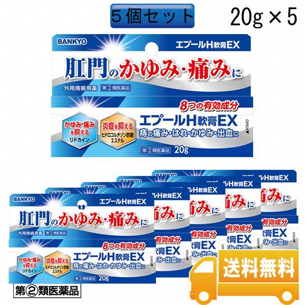 【第(2)類医薬品】エプールH軟膏EX　５個セット　2024年1月20日より再販予定